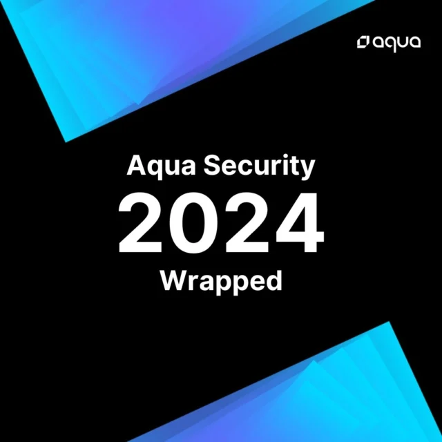 Aqua Security Wrapped 2024 👀✨

#spotifywrapped #2024wrapped